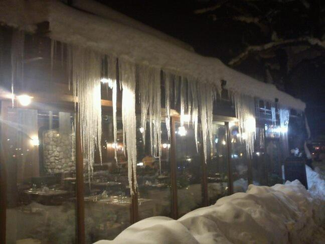 Hotel Papanastasiou Elati  Bagian luar foto