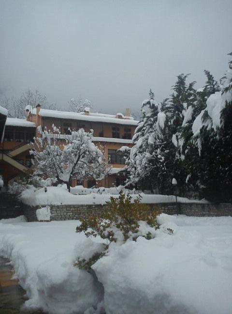 Hotel Papanastasiou Elati  Bagian luar foto